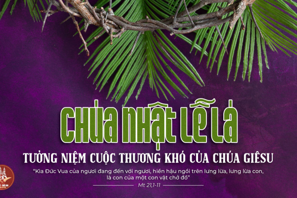 Pano Chúa Nhật Lễ Lá Năm A